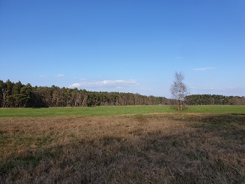 IMG_20230718_210348_(350_x_263_pixel).jpg