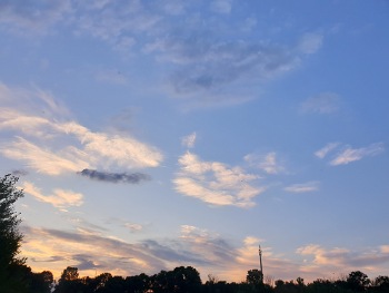 IMG_20230718_232312_(350_x_263_pixel).jpg